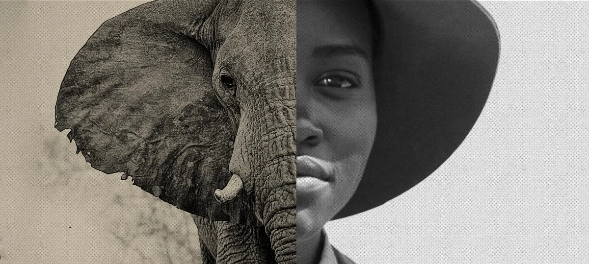 Lupita-Updated.jpg