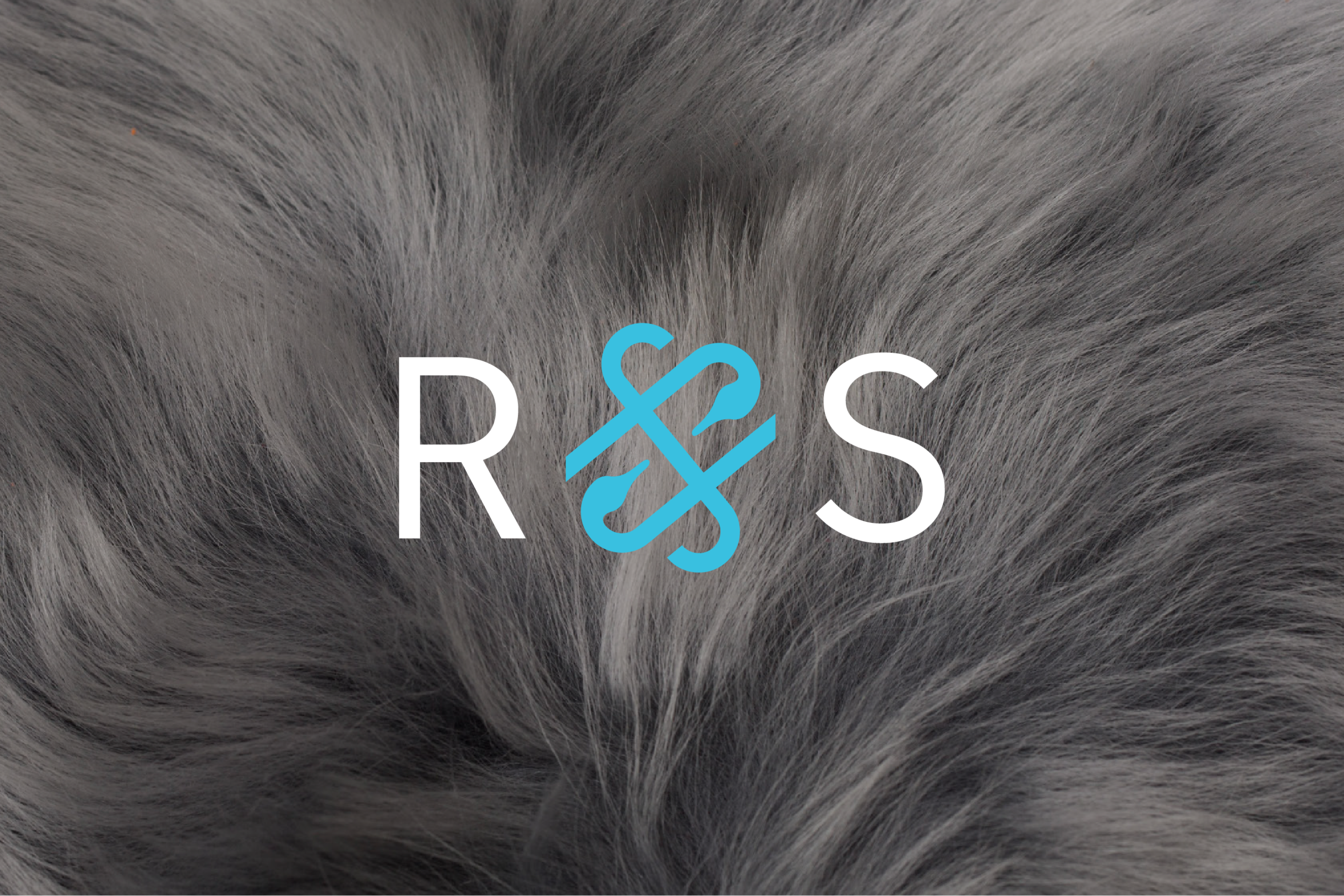 Ross-Snow-Web-06.png
