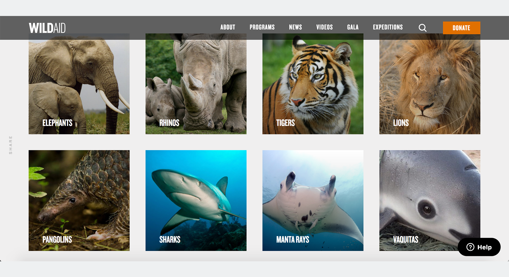 case-study_thumbnail-1_wildaid.png