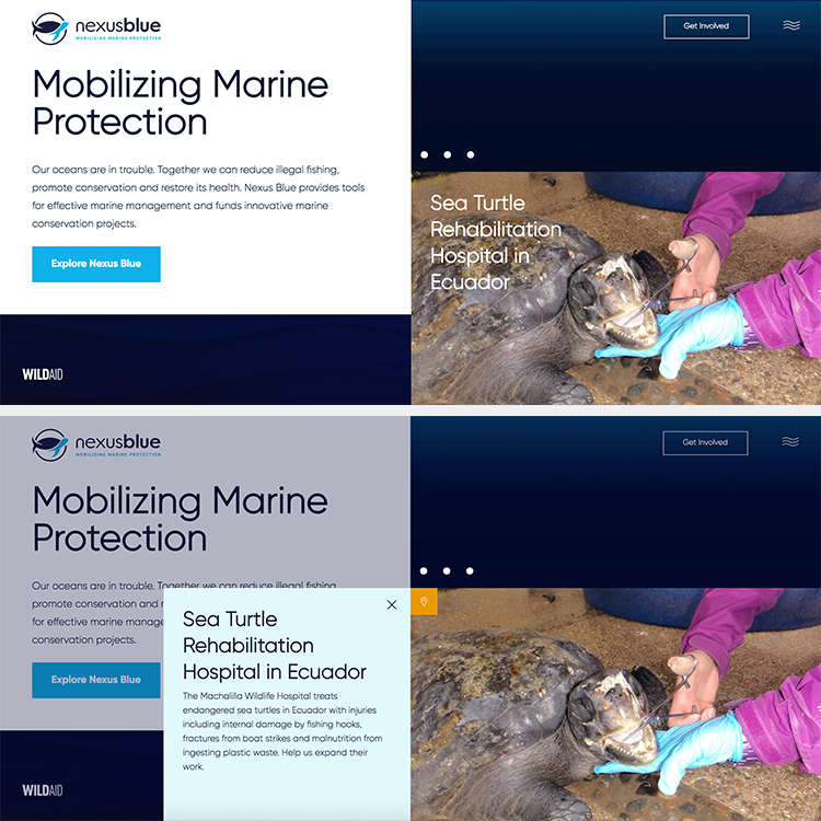 case-study_square-sidebar-1_nexus-blue.png