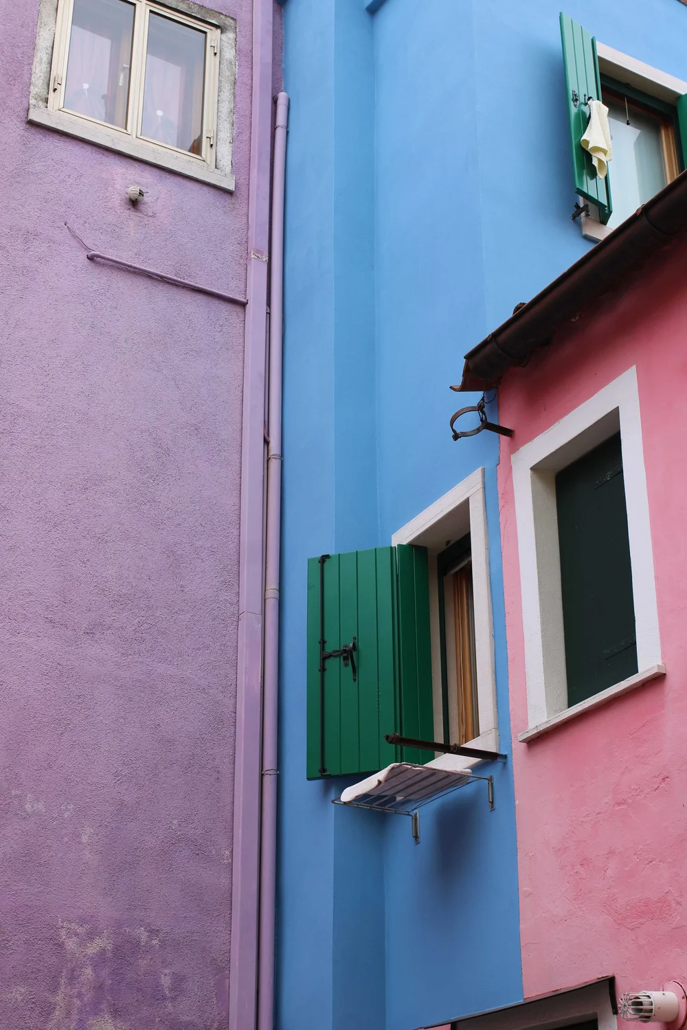 Image from iOS (1).jpg