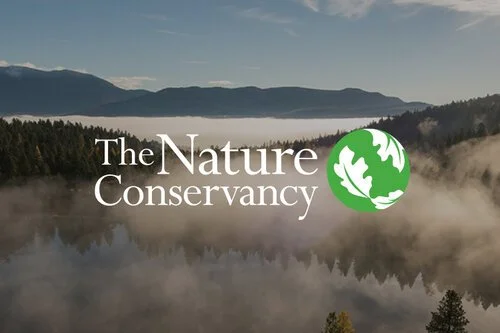 work_thumbnail_the-nature-conservancy.jpeg