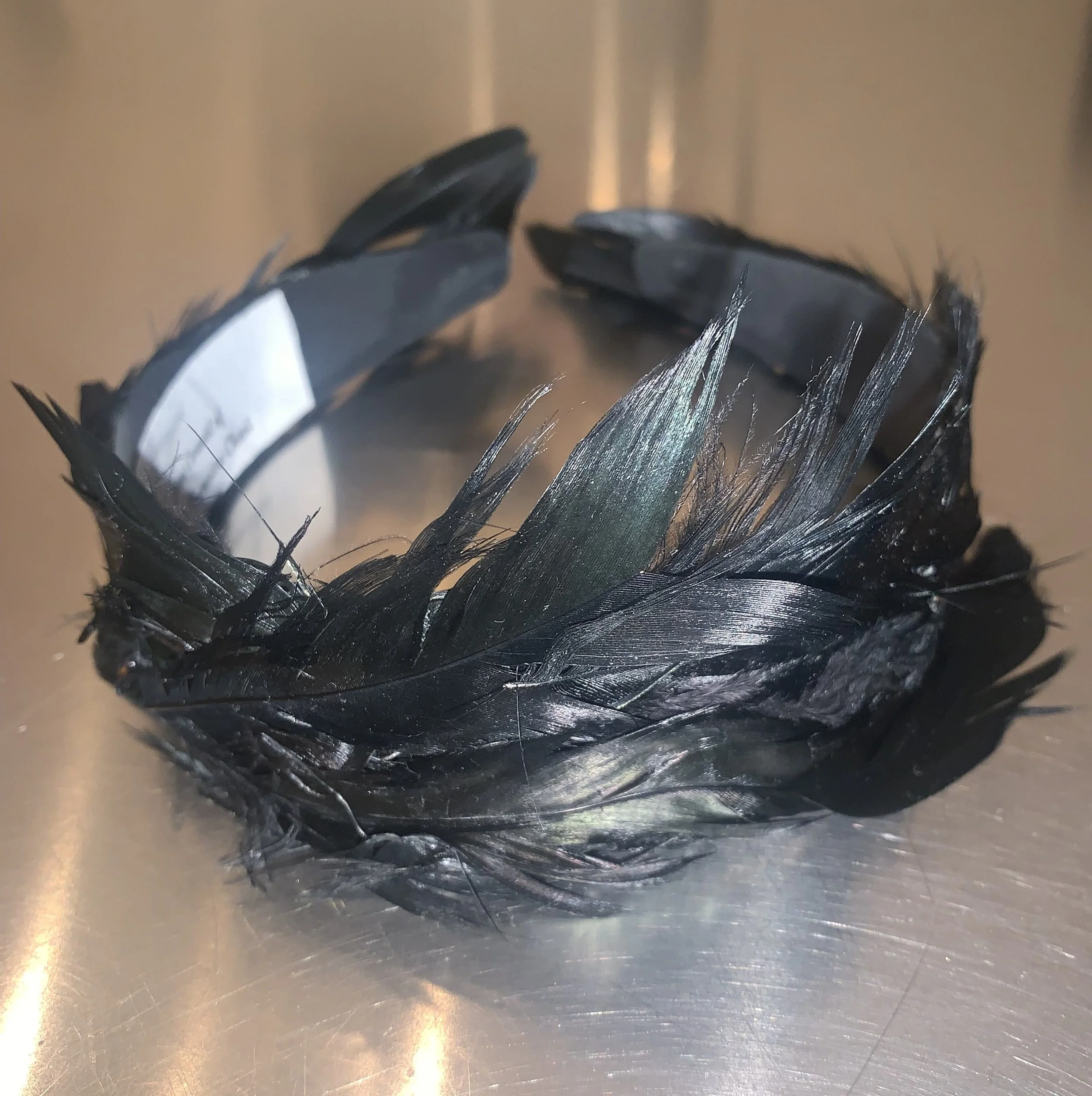 Black Swan 4.JPG