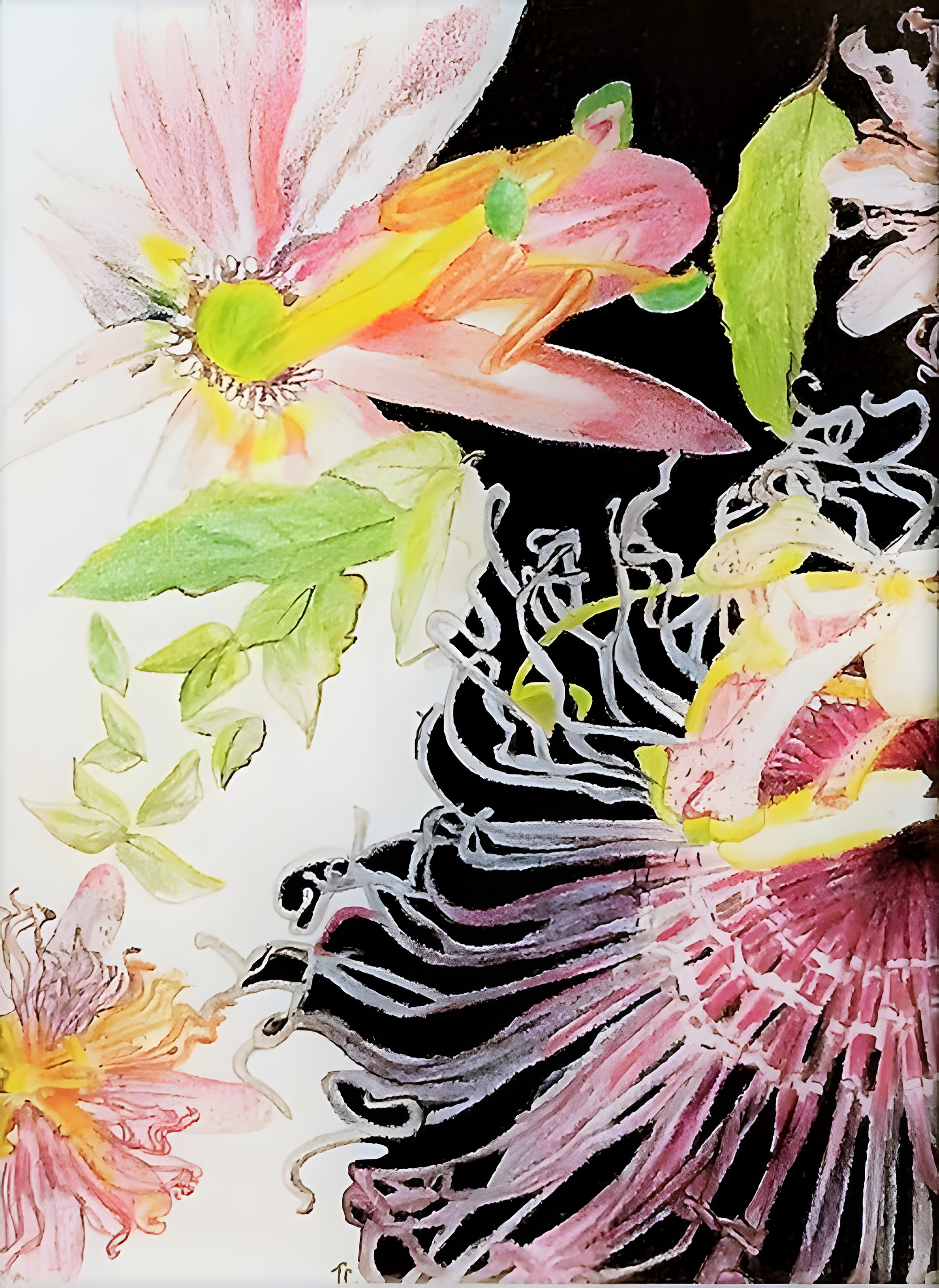 PASSION FLOWERS