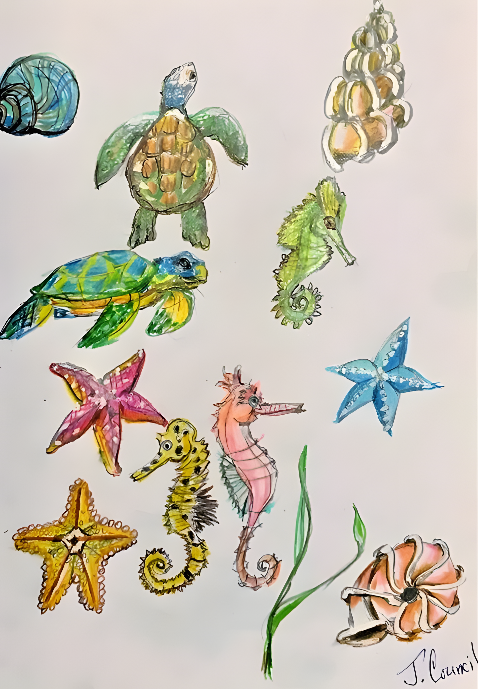 SEA CREATURES