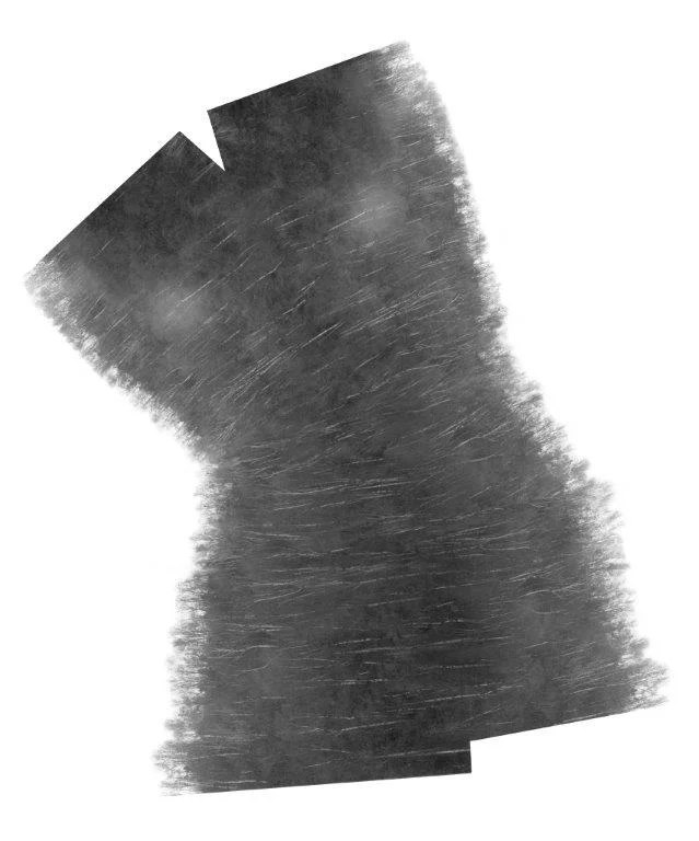 Tree Torso greyscale low res.jpg