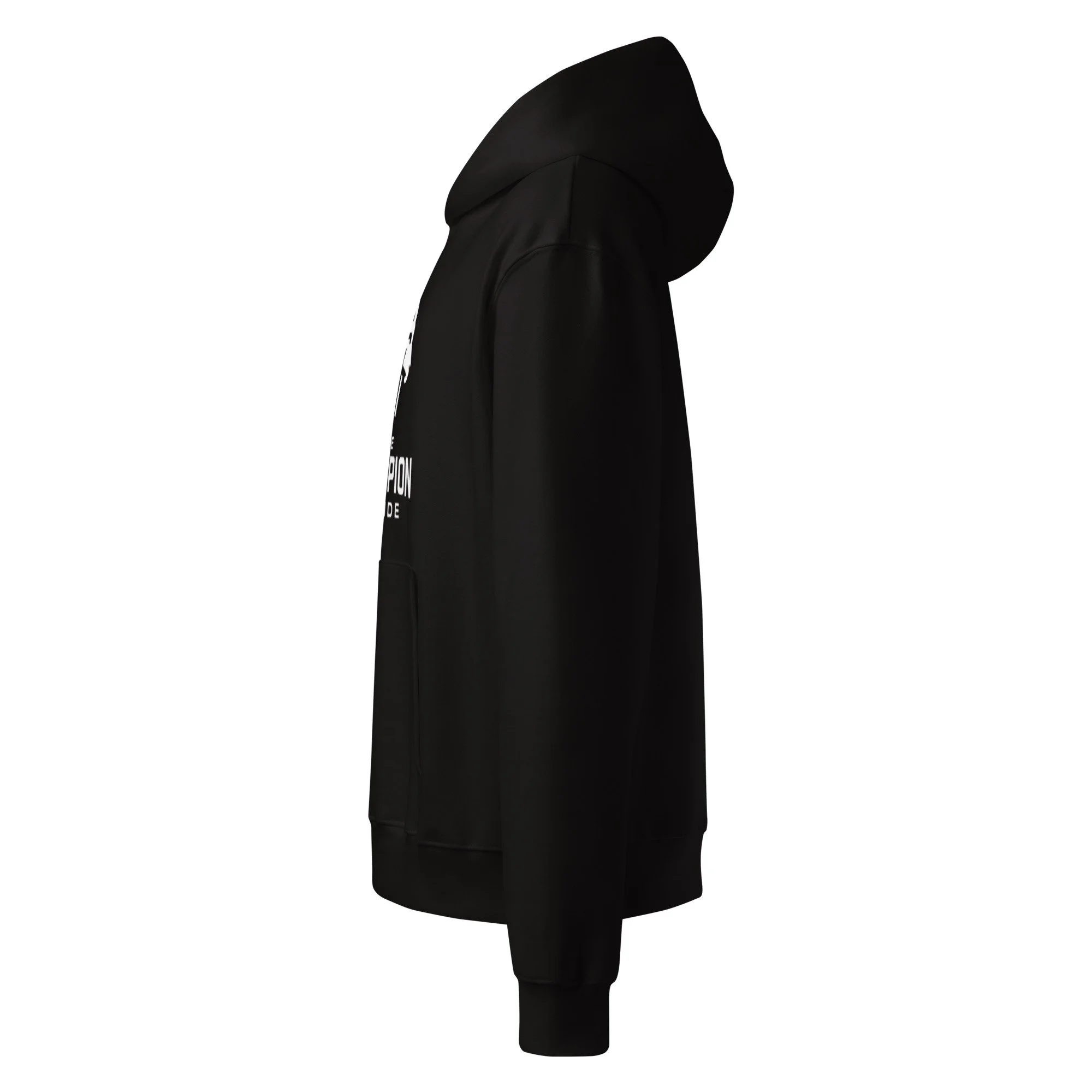 unisex-oversized-heavyweight-hoodie-black-left-69bd7d24db373.jpg