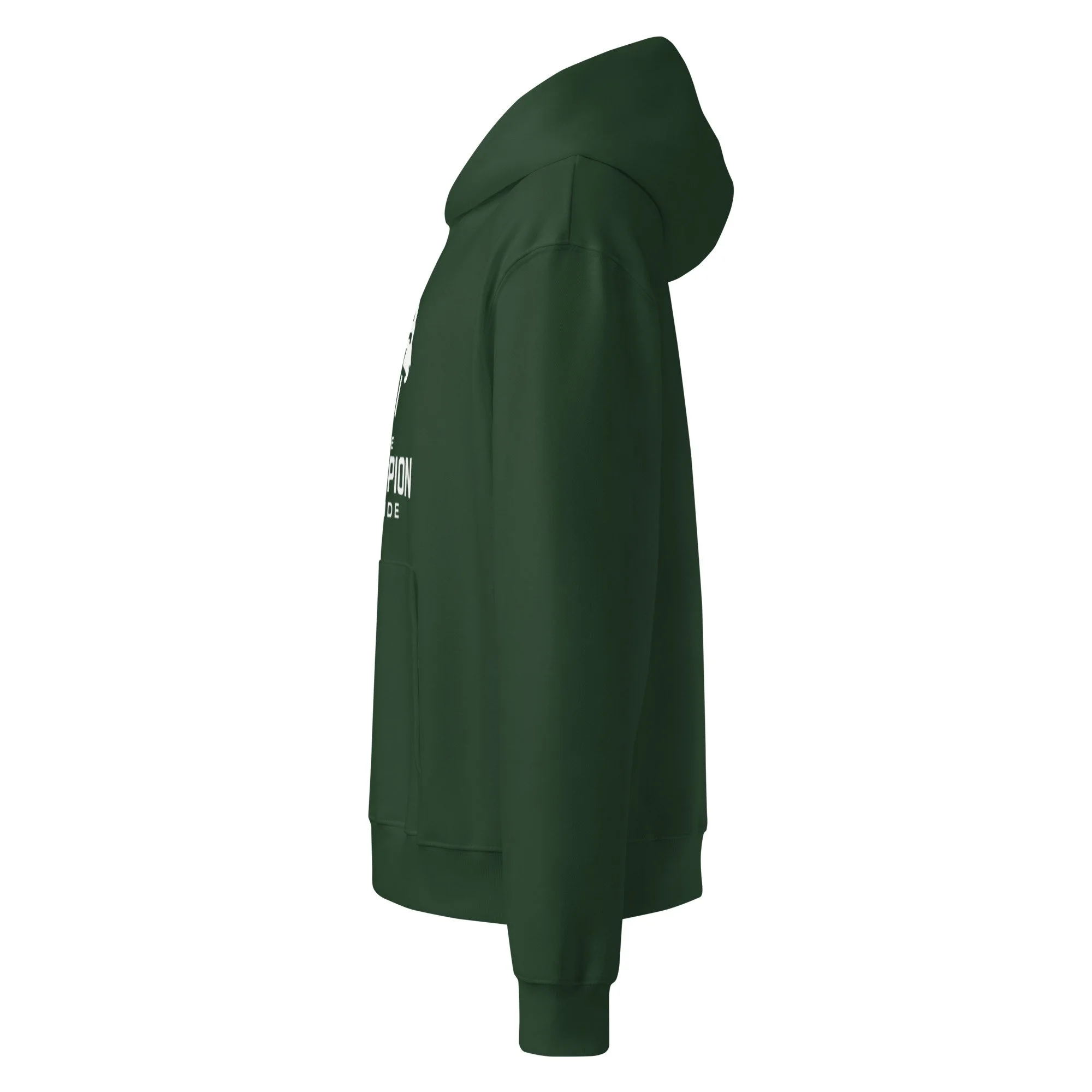 unisex-oversized-heavyweight-hoodie-forest-left-69bd7d24db47f.jpg