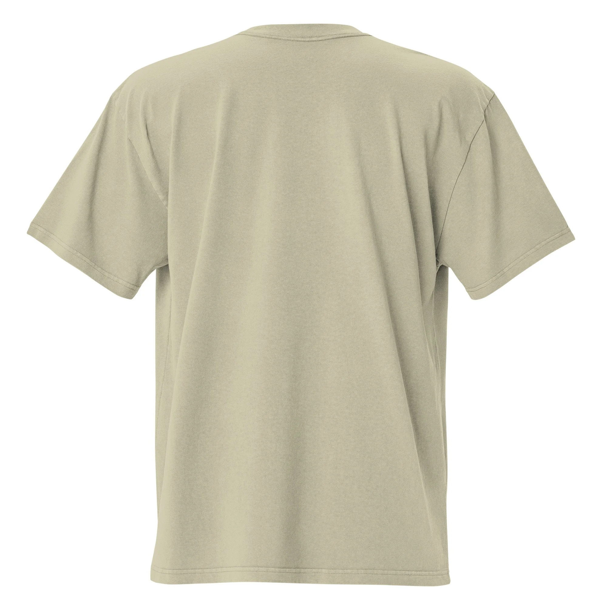 oversized-faded-t-shirt-faded-eucalyptus-back-69bd809b10cec.jpg