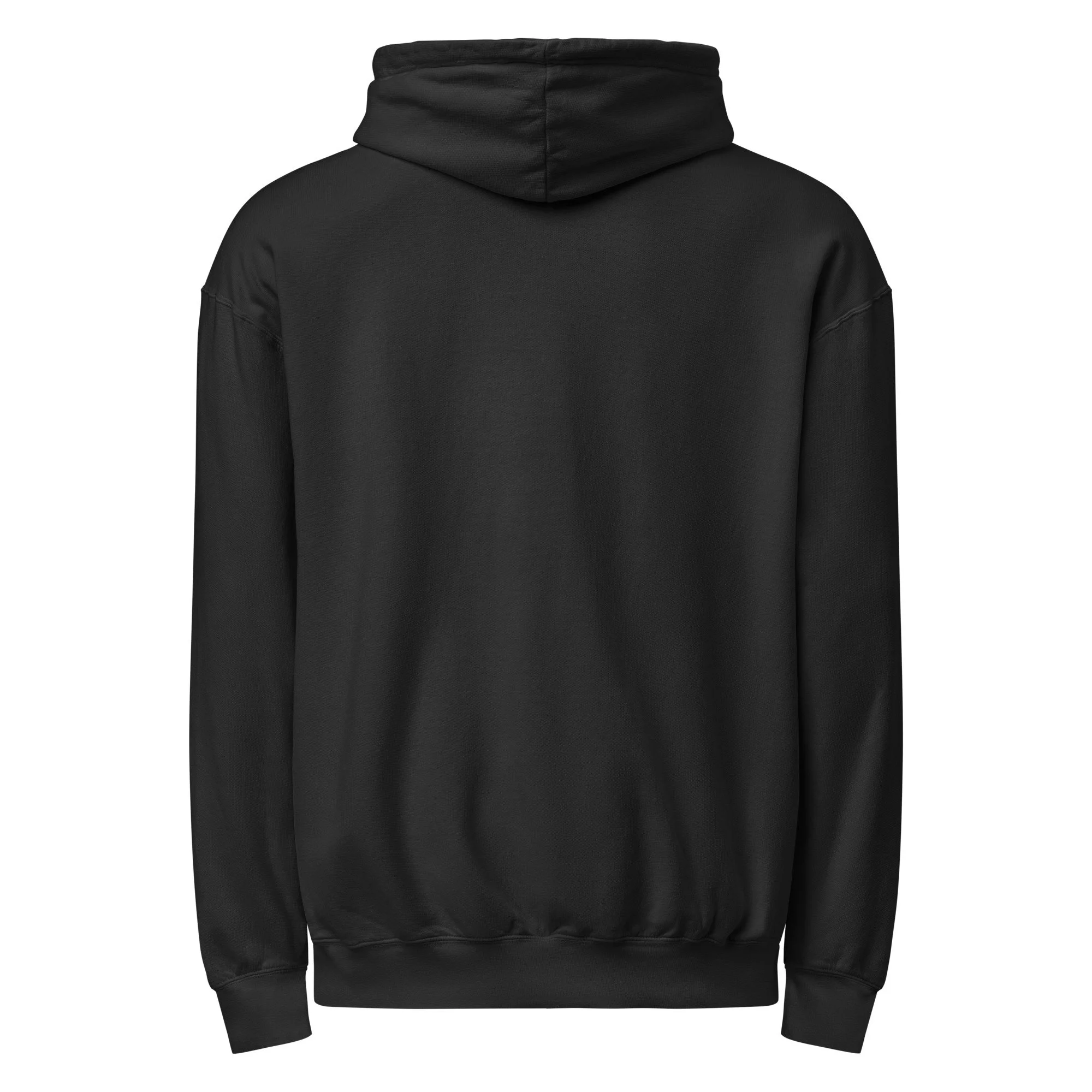 garment-dyed-lightweight-fleece-hooded-sweatshirt-i-comfort-colors-1467-black-back-69bd82722094c.jpg