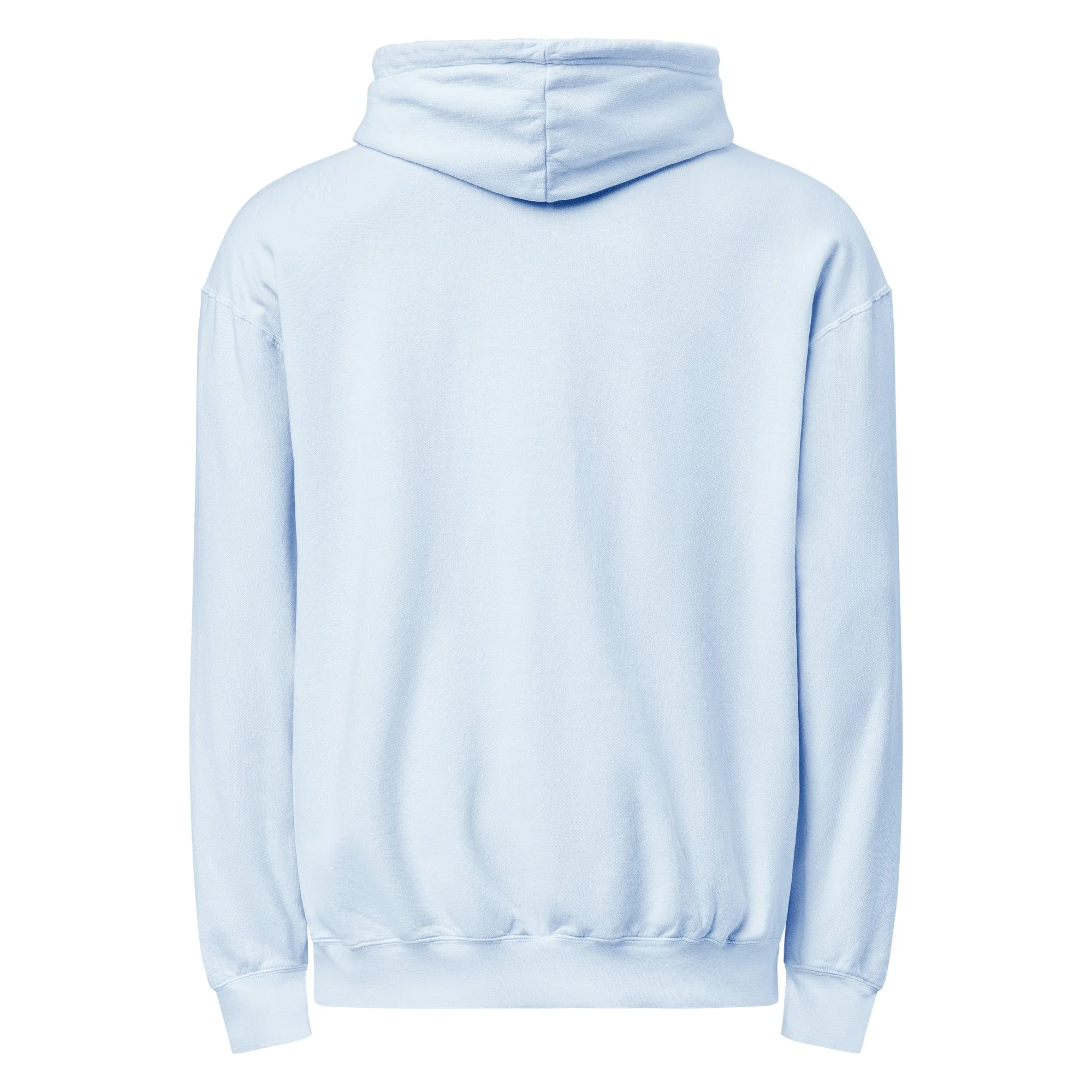 ent-dyed-lightweight-fleece-hooded-sweatshirt-i-comfort-colors-1467-hydrangea-back-69bd827220afe.jpg