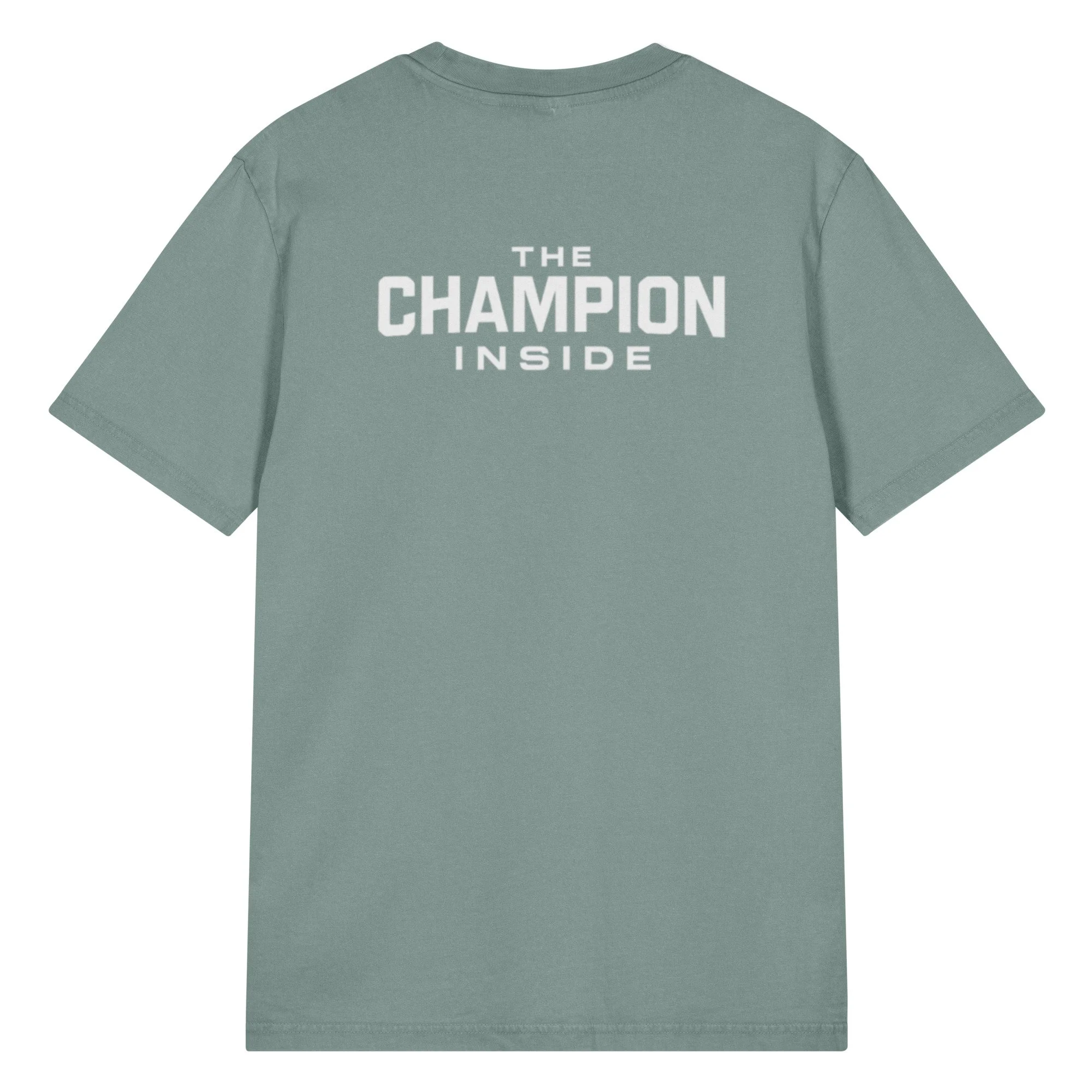 unisex-garment-dyed-creator-2.0-vintage-t-shirt-g.-dyed-green-bay-back-69c56be9c7ed0.jpg