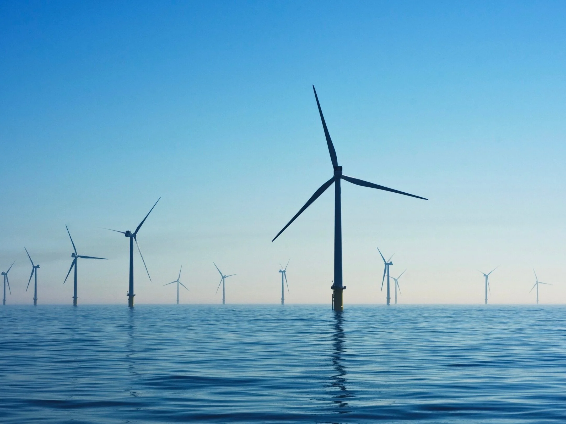Tatiana Schlossberg: Climate Change and our unknowing impact