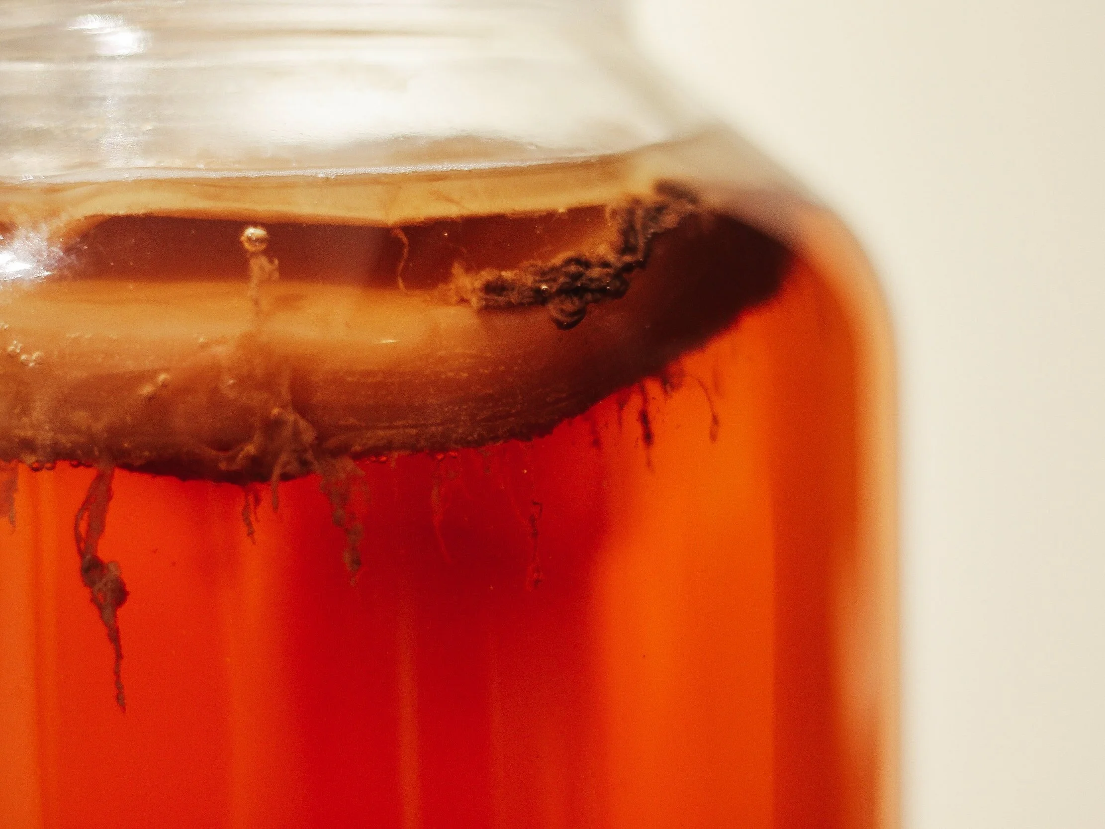 The Age of Ferment