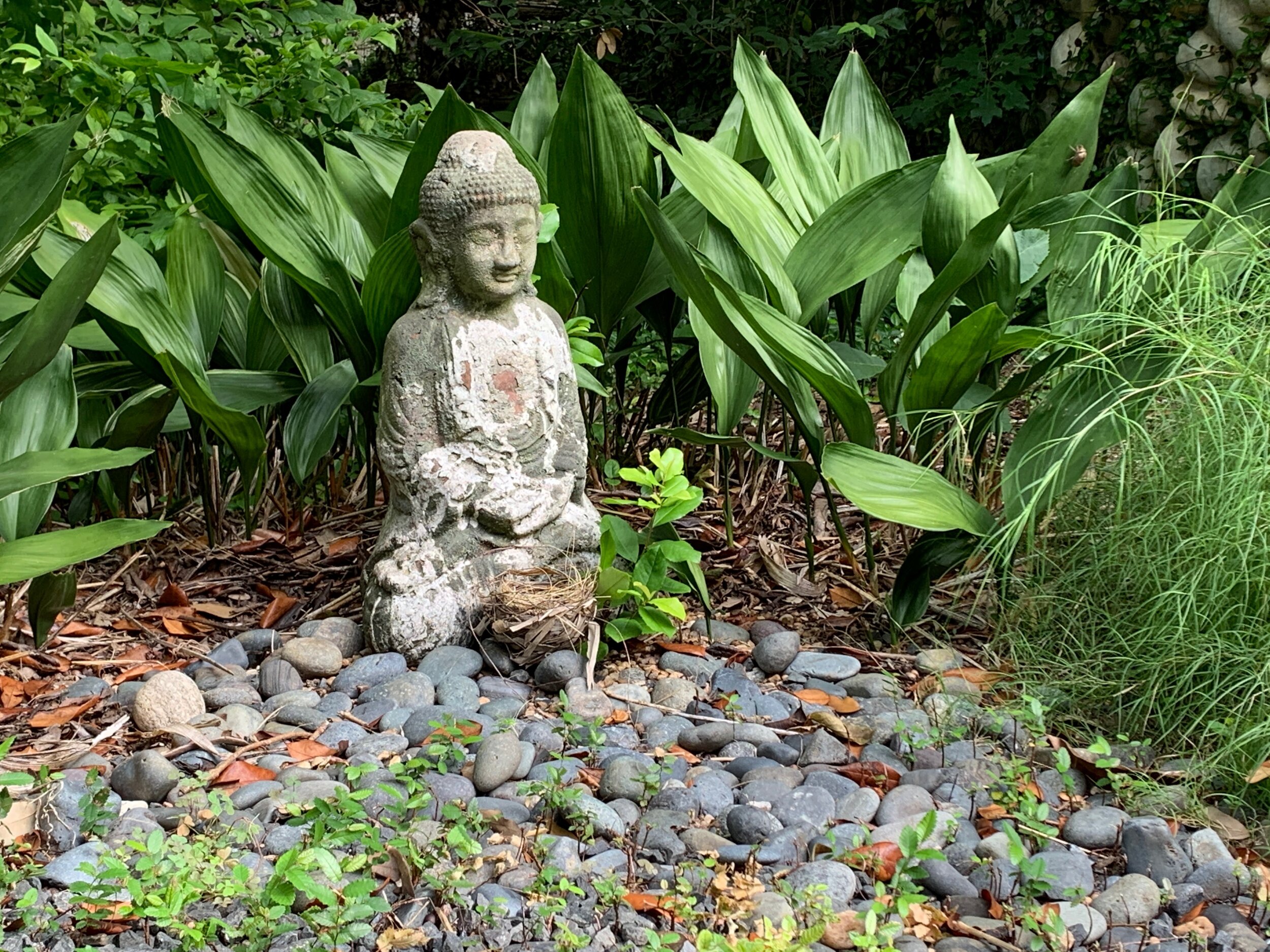 Tending my Zen Garden — String Theory by Ray Brimble