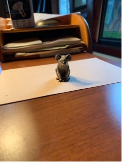  Koala bear paperweight. Given to me a lifetime ago by a friend in Australia and a wonderful example of the lovely sweetness of little things. It’s still one of my favorite belongings. 