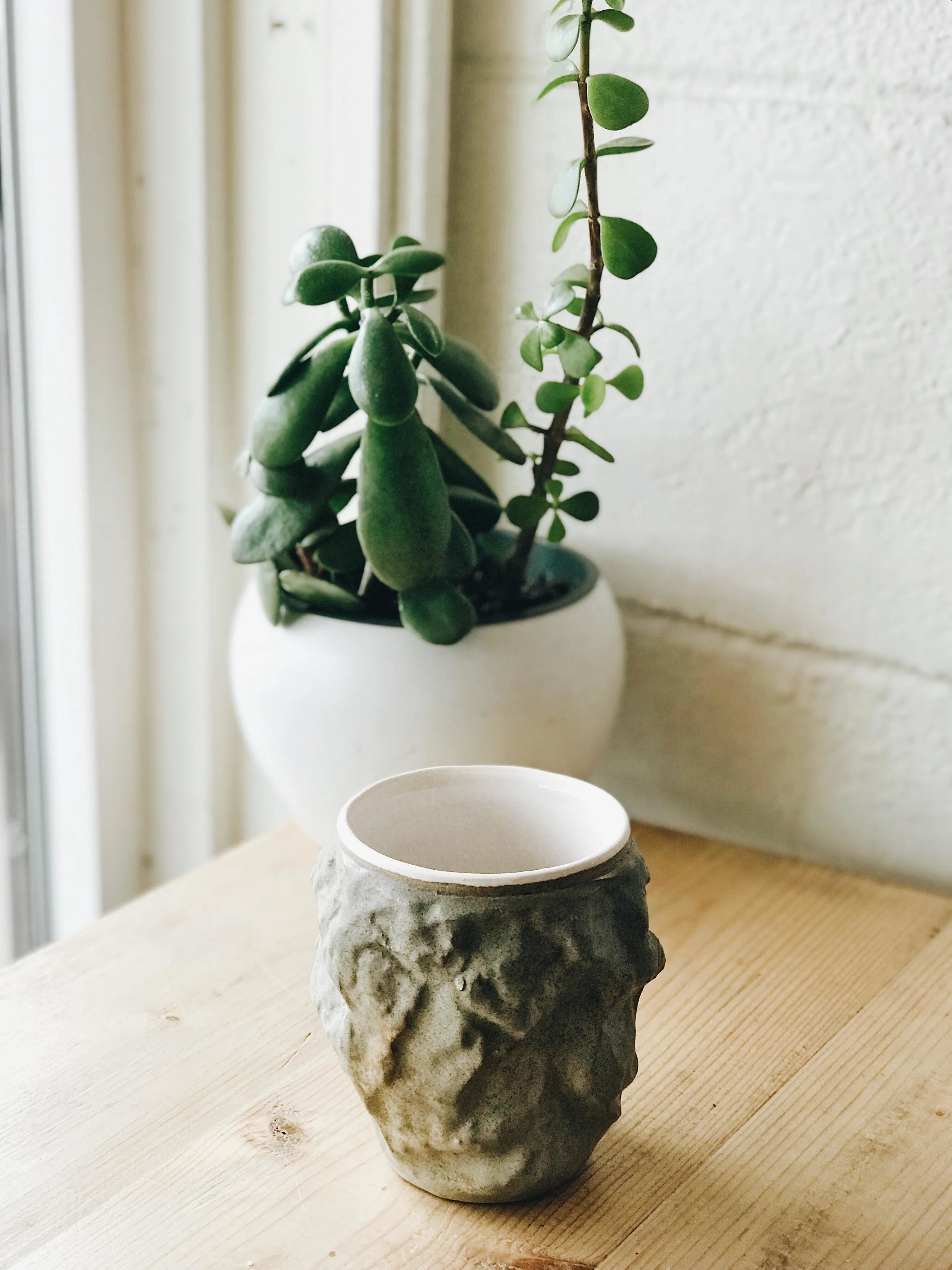 “A Christian congregation is a company of praying men and women who gather, usually on Sundays, for worship, who then go into the world as salt and light.” ― Eugene H. Peterson