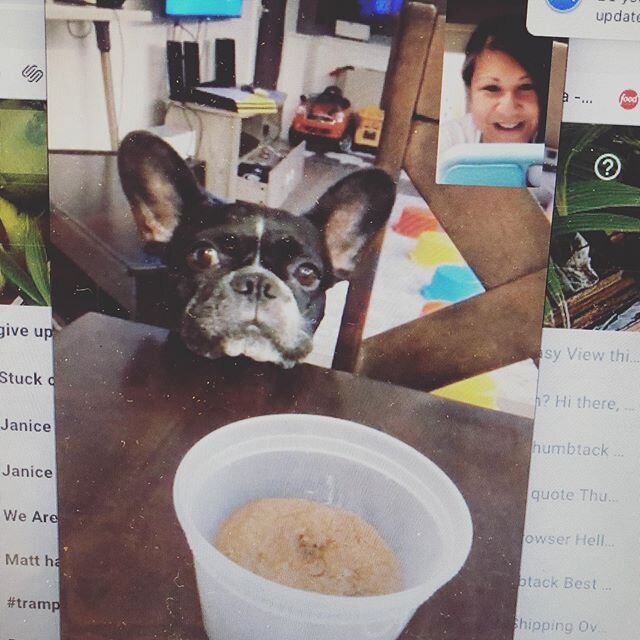 When you drop off a care package prior to a virtual date during social distancing and someone else wants in on the fun. @bortthefrenchie I promise to include treats for you next time since cocoa Nutella cookies are not good for puppies. &bull;
&bull;