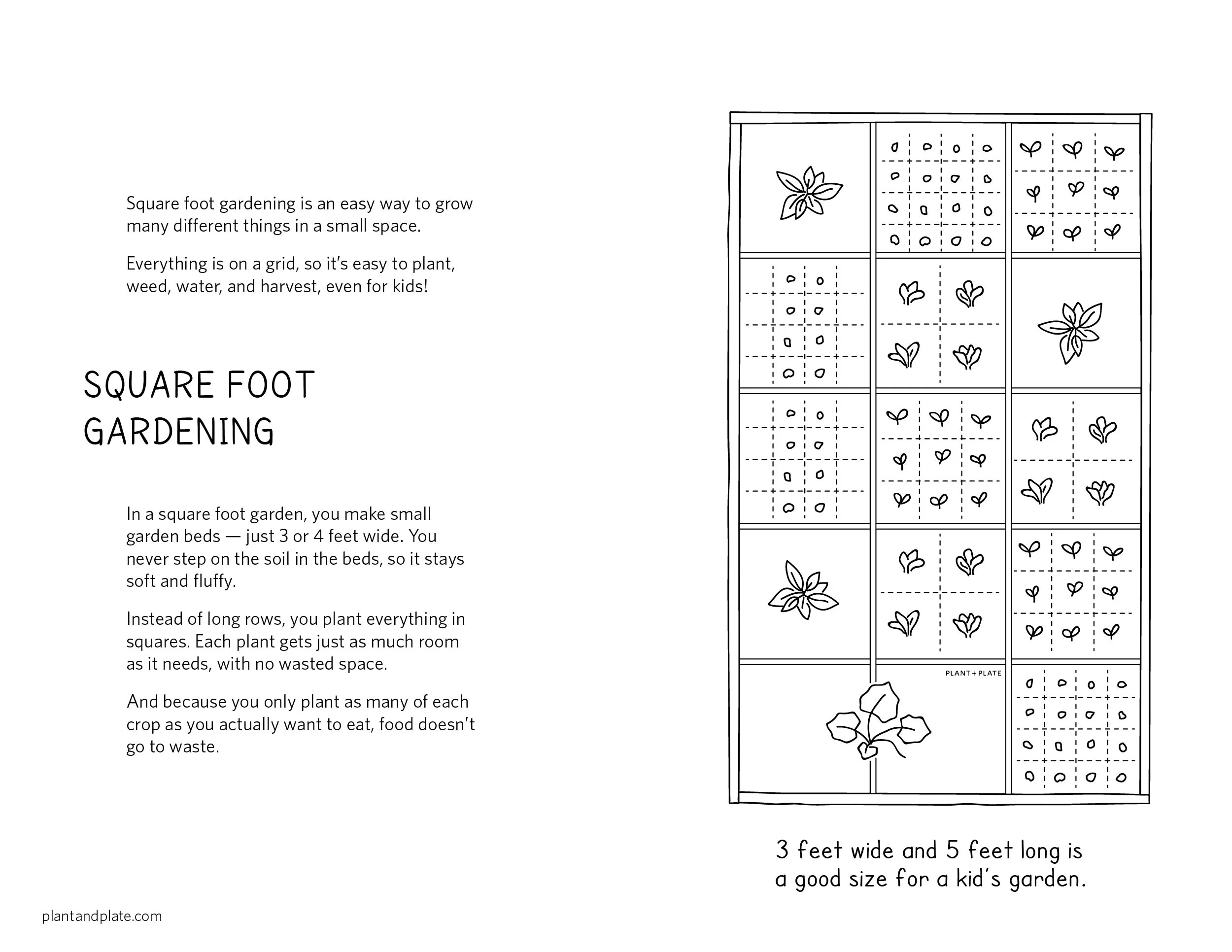 plantandplate-book-01-Artboard 71.jpg
