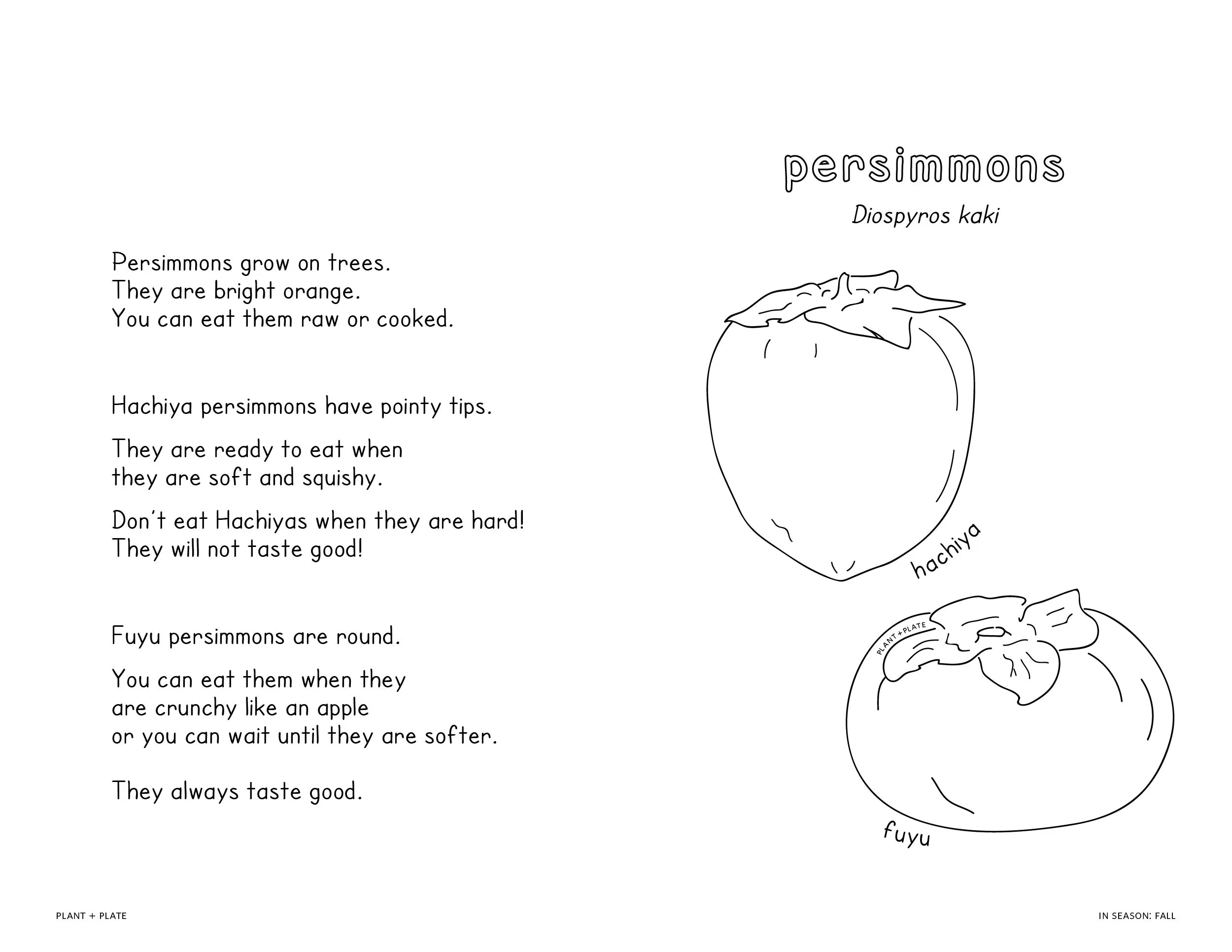 plantandplate-book-03-Artboard 37.jpg