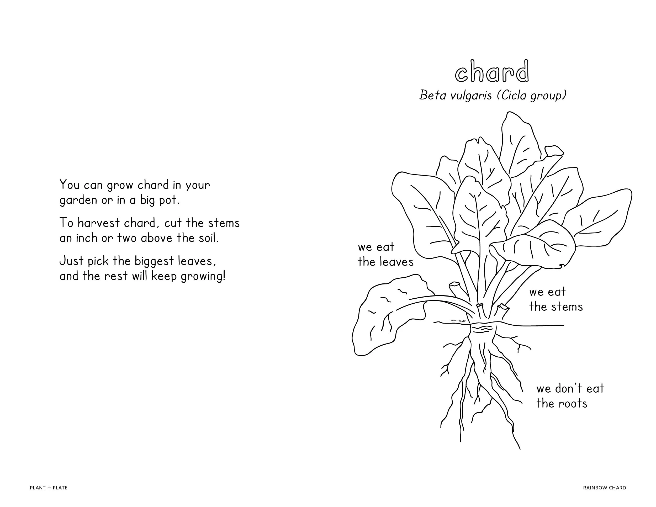 plantandplate-book-04-Artboard 33.jpg