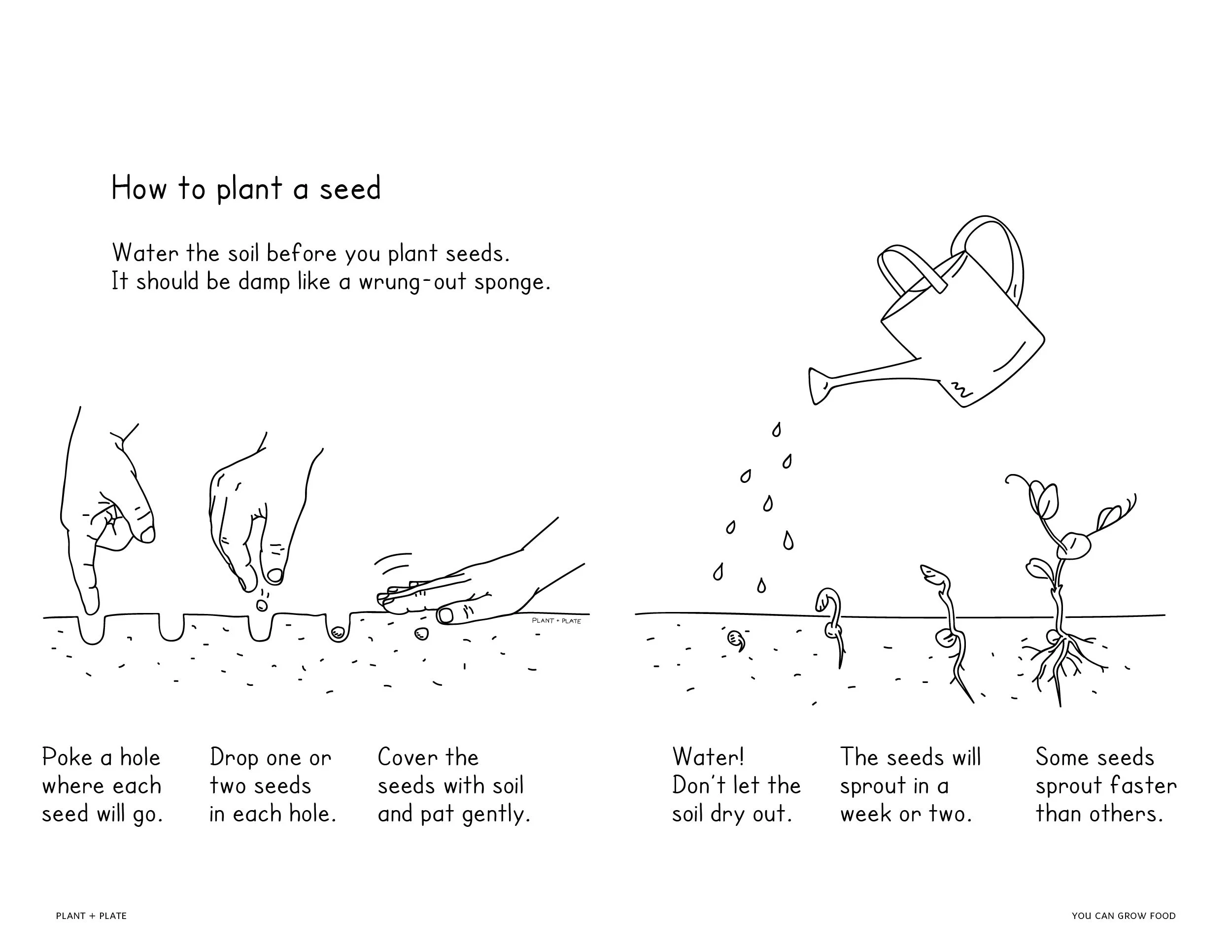 plantandplate-05-Spread 8-9.jpg