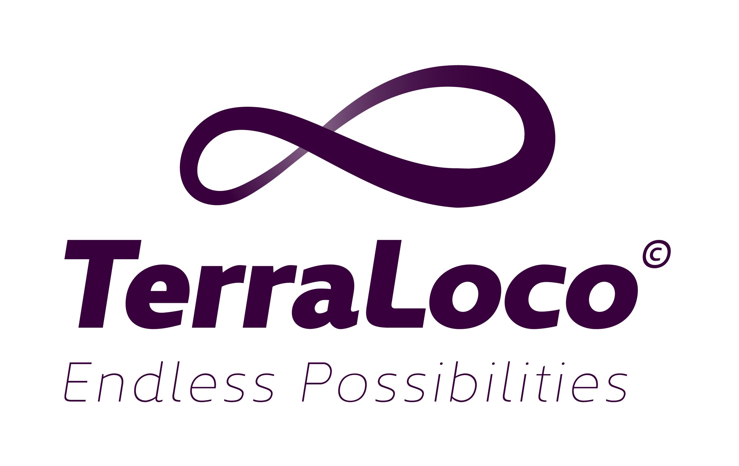 Terraloco_Logo-1 (1).jpg