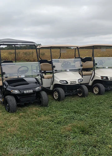 Blog Aix La Chapelle Day 2_Arrival Golf Carts.jpg