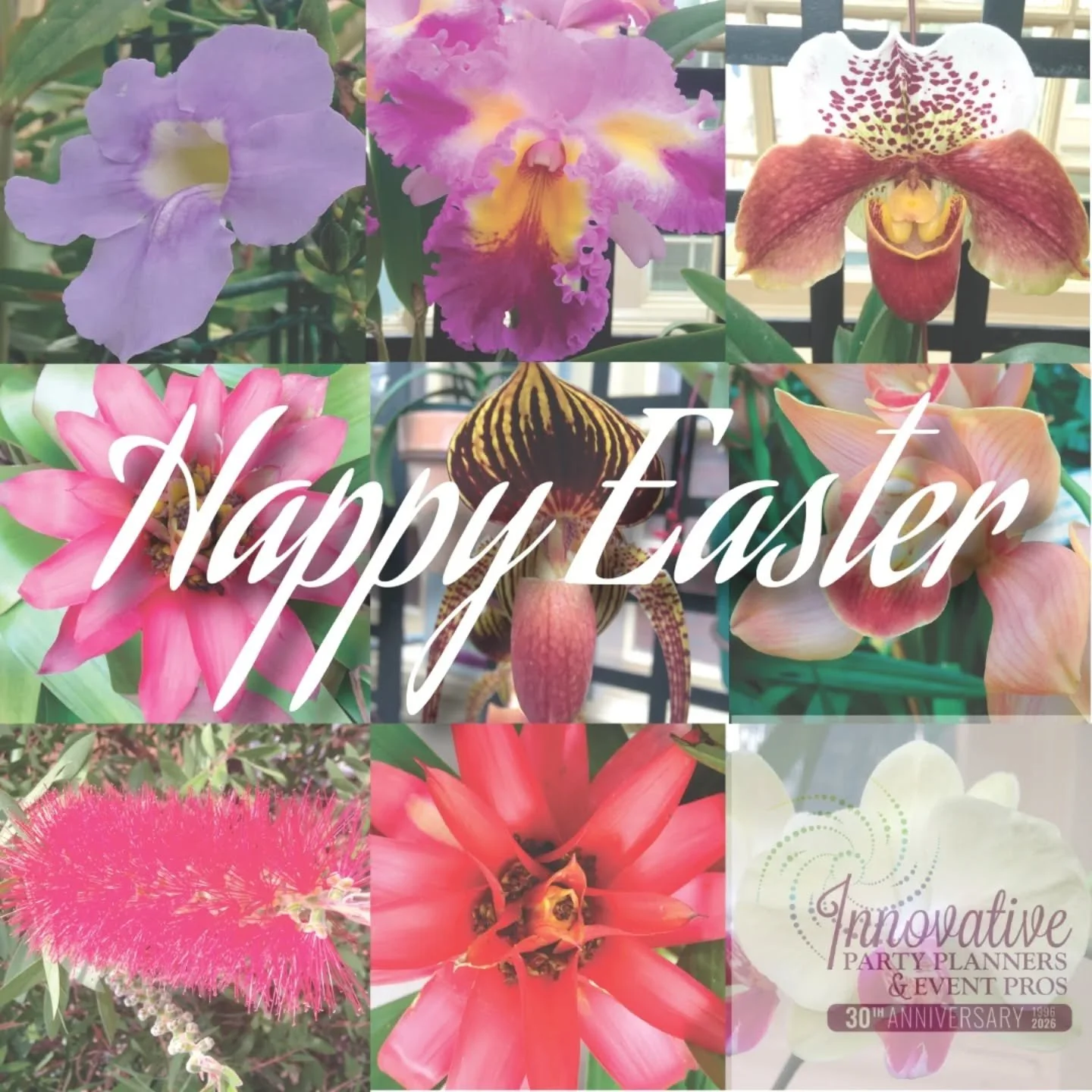 Happy Easter to all who celebrate! Wishing you and yours a truly blessed and beautiful day! 💕🐣🌸🐰

#eastersunday #orchidsinbloom