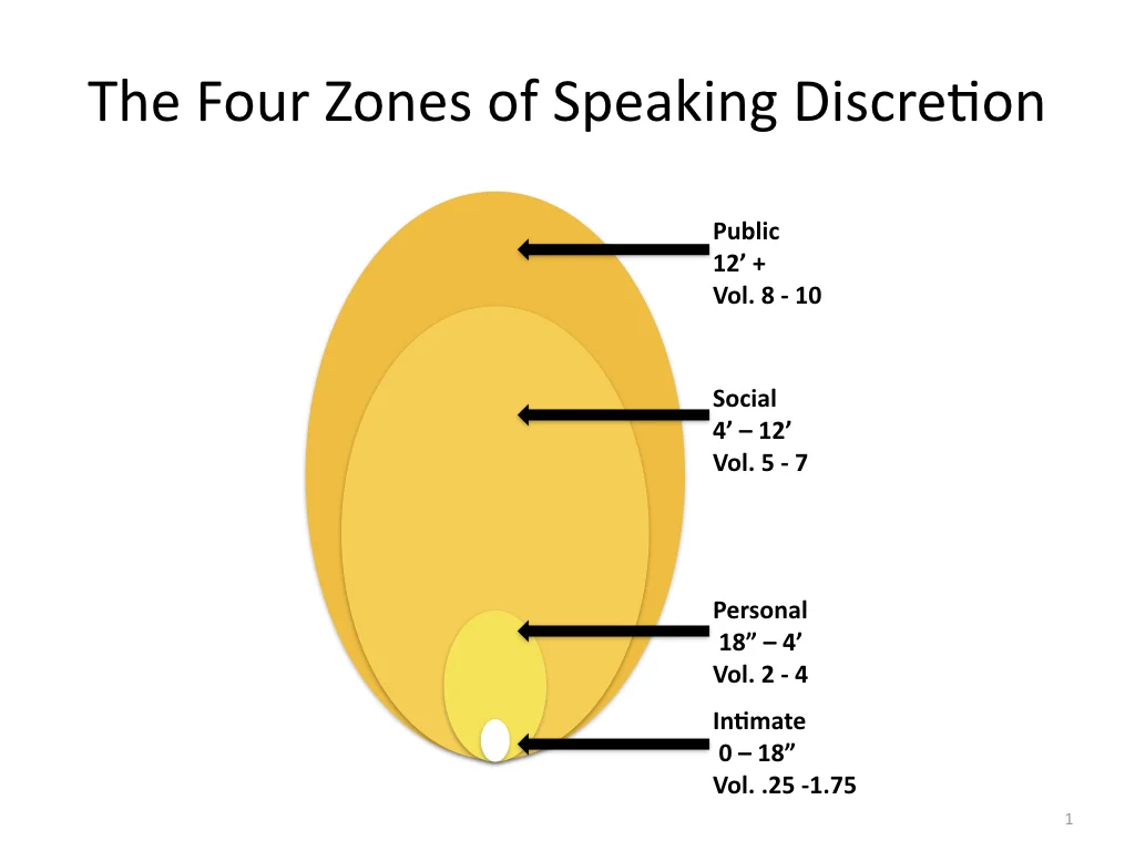 The Four Zones of Public Discretion.001.jpeg
