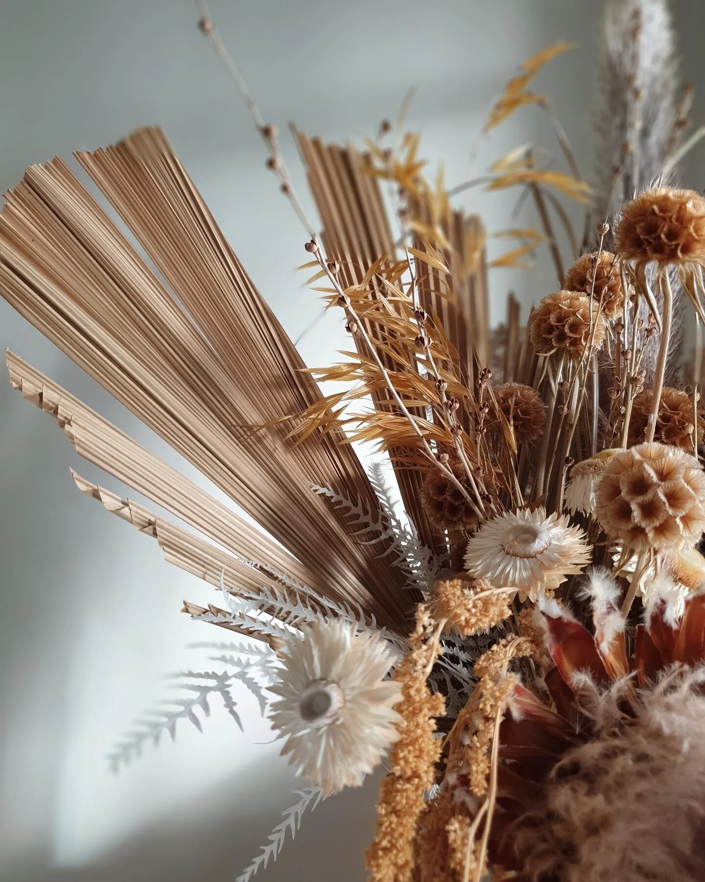 Dried Flower Arrangements Melbourne Best Flower Site