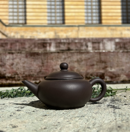 Screenshot 2026-02-24 at 5.00.54 pm.png