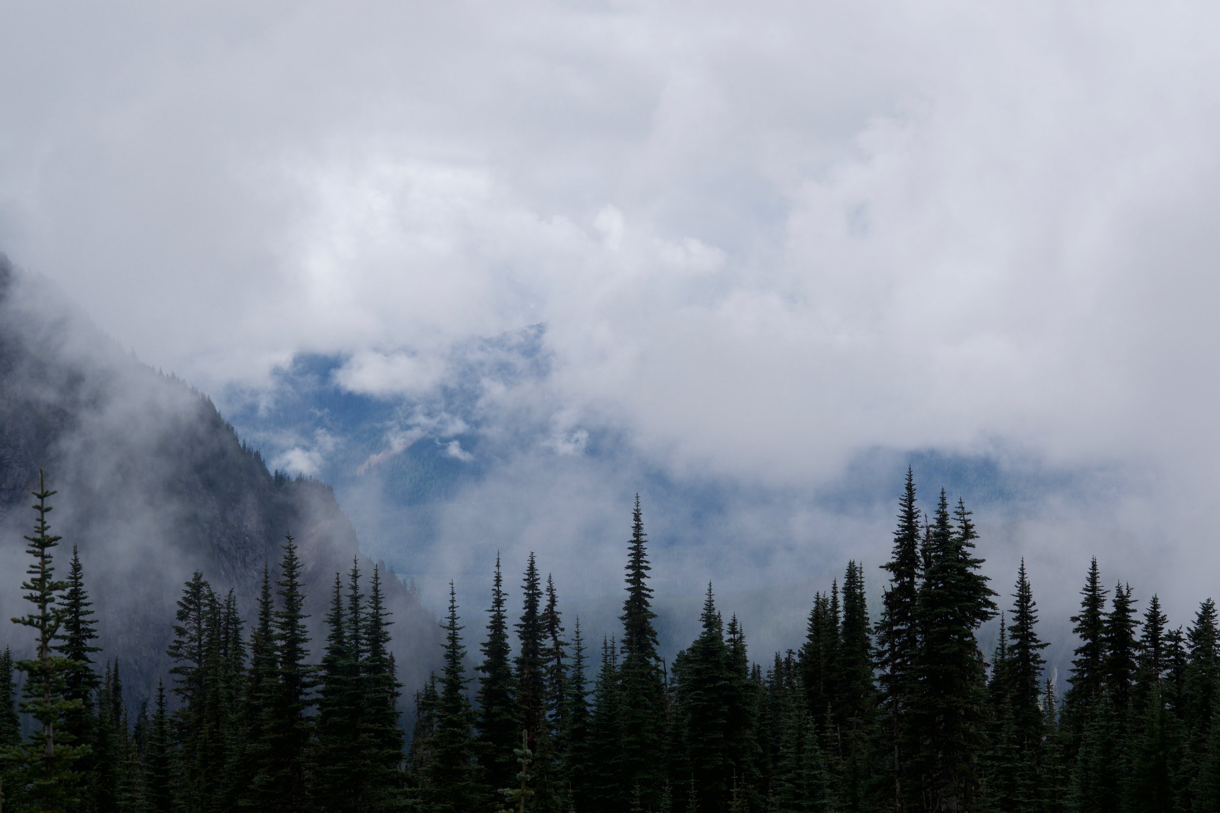 DSC_0833.jpg