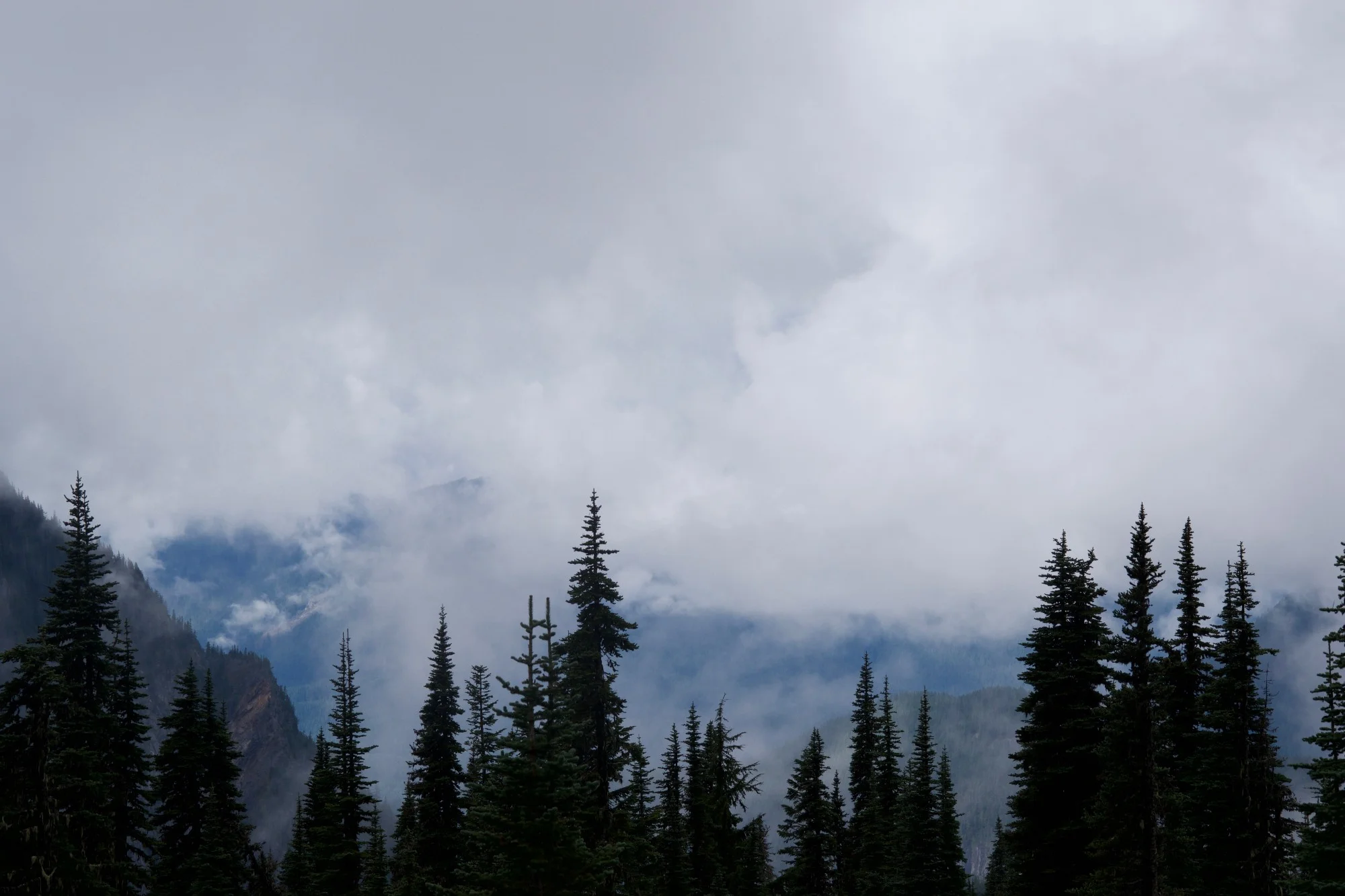  Mount Rainier National Park, Washington. 