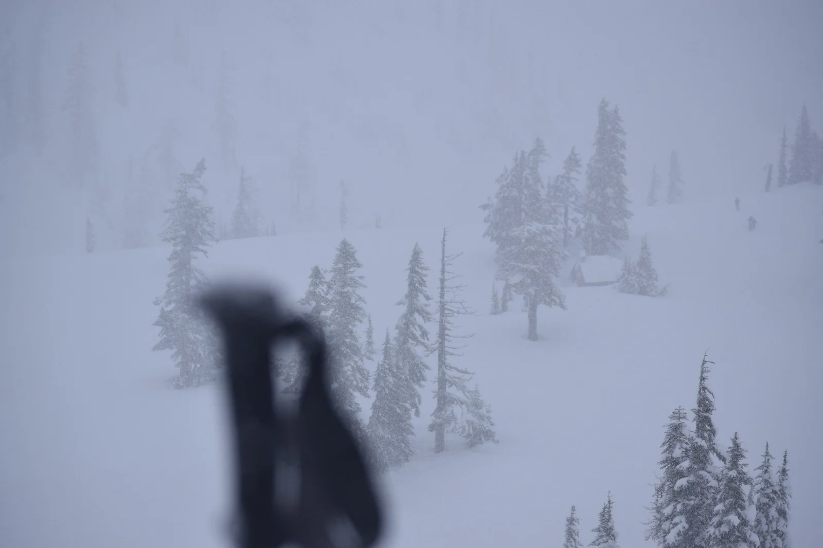  Visibility wasn’t the best. The trees provided enough contrast to help stop me from walking in circles. Artist Point at Mt. Baker, Washington. 