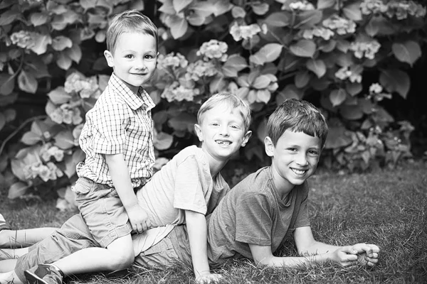 Sommers_2014_56bw.jpg