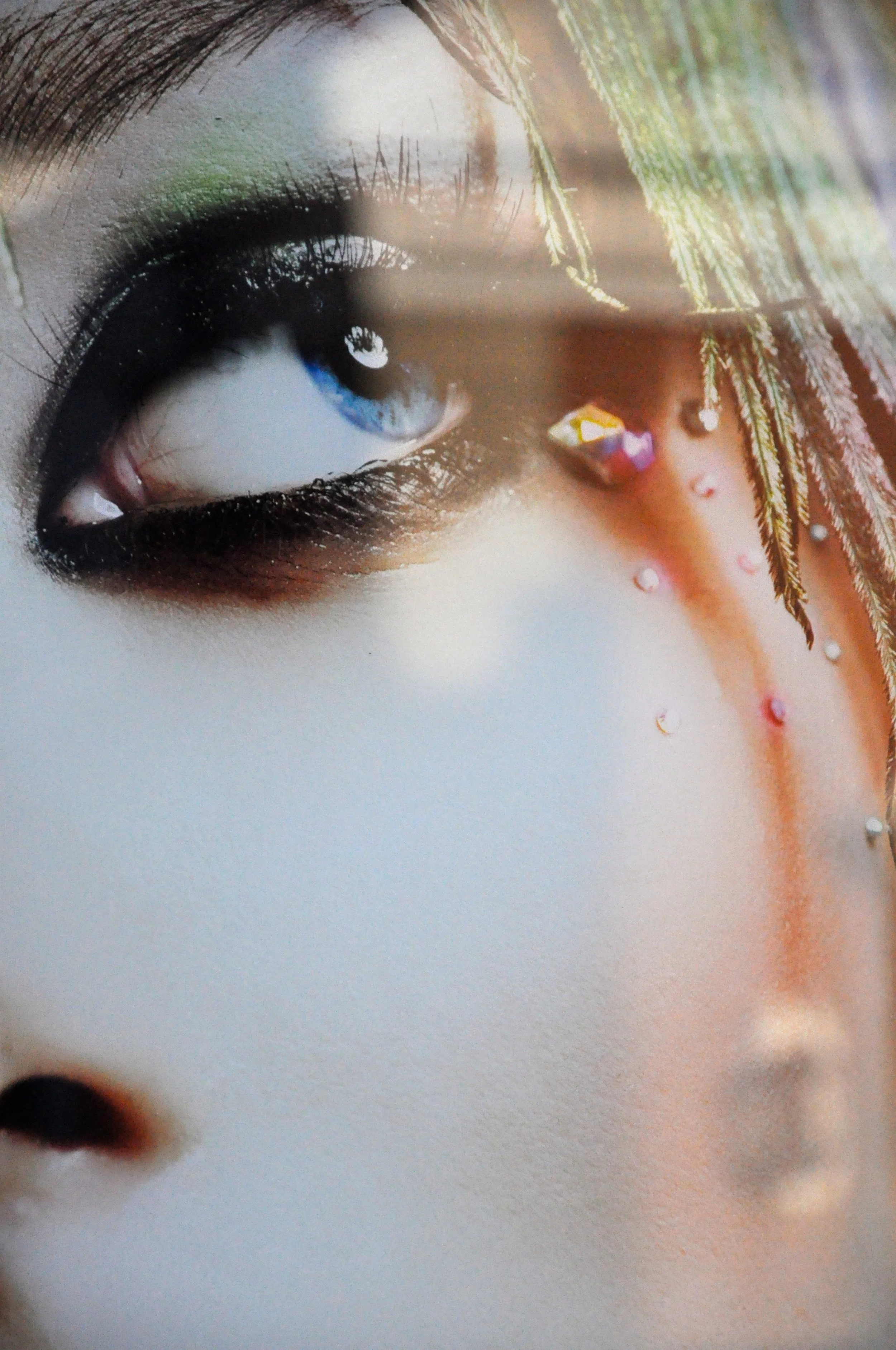 Susan Aurinko Eye On Devon Devon Avenue