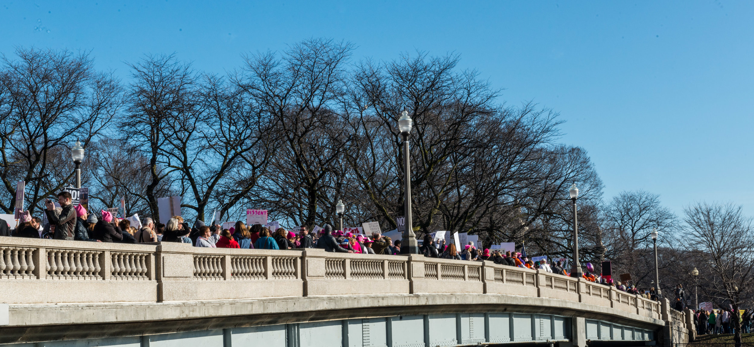  Wendy Love  Chicago Women's March 