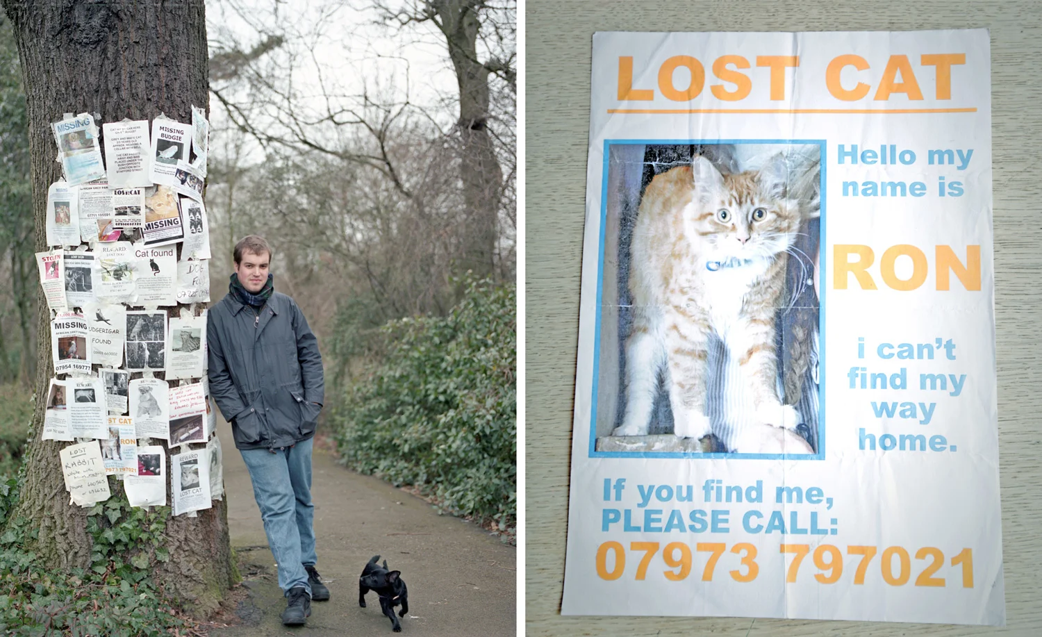 Ed Missing Pet Posters