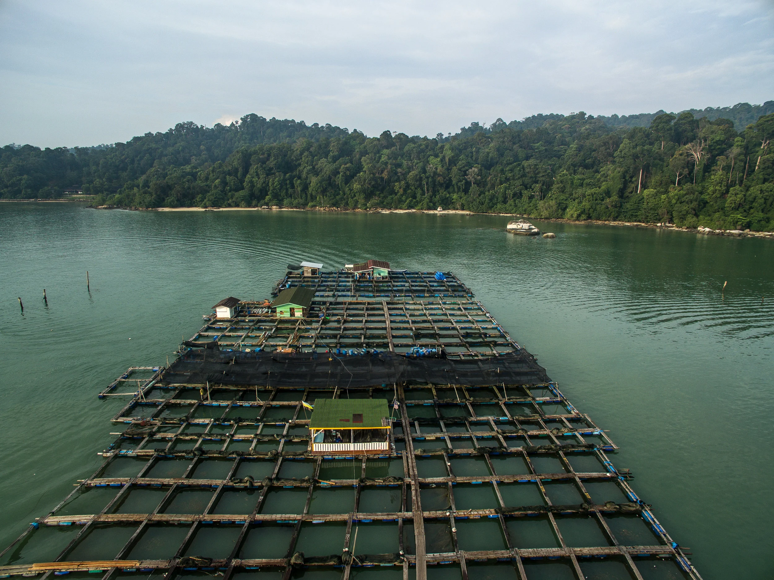 DJI_0047.jpg