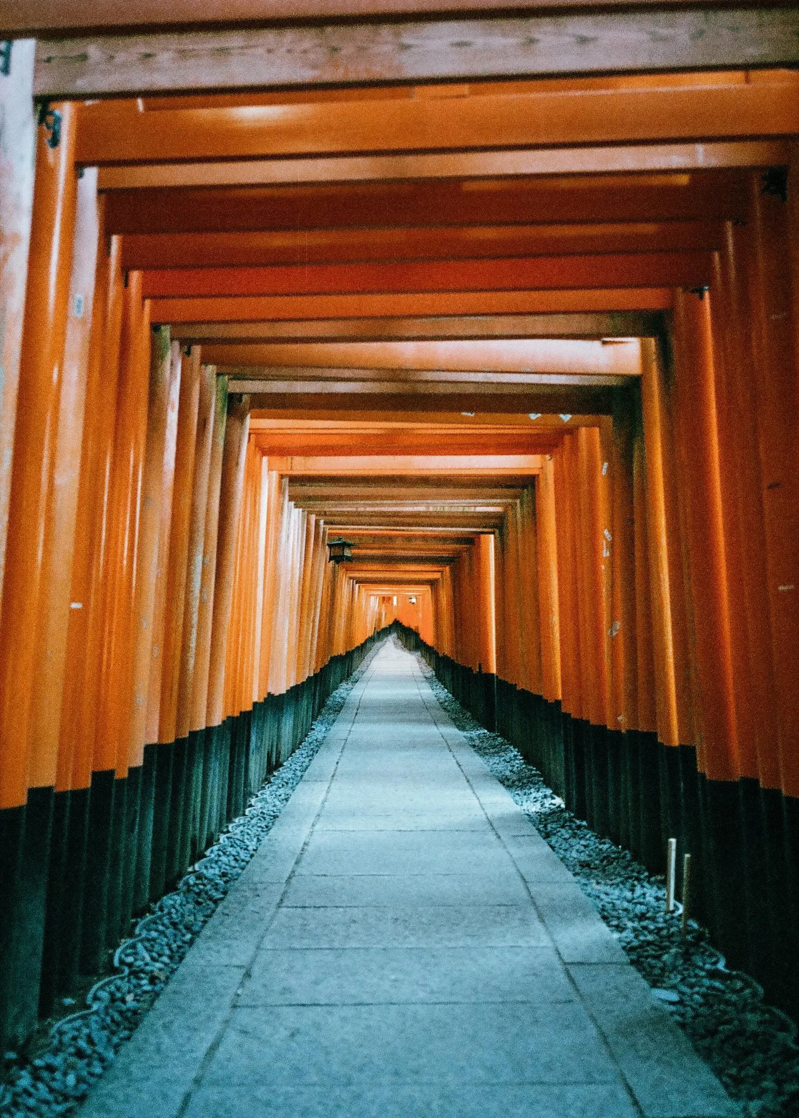 kyoto-wnkb.jpg