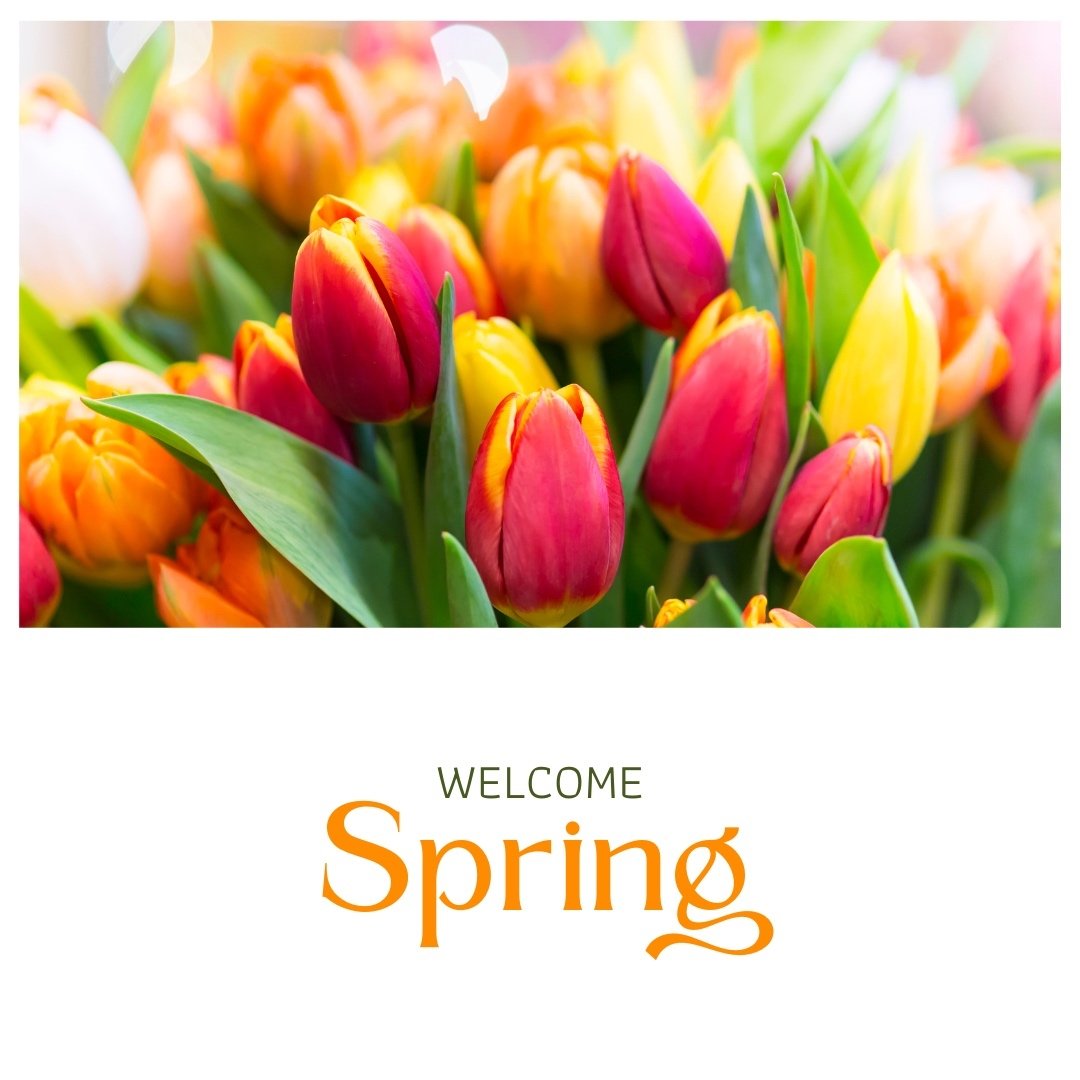 Can you feel it? 🌸 Spring season is finally here and the flowers are blooming, birds are chirping, and the sun is shining! ☀️🌺 Embrace the beauty of this new season and all the fresh possibilities it brings. #SpringIsHere #HelloSunshine #BlossomEve