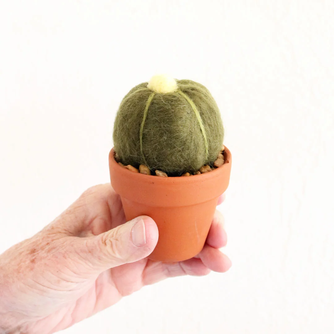Needle-Felted-Succulents-2.jpg
