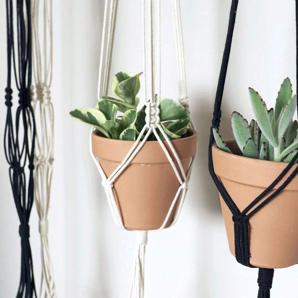 Macrame Plant Hanger Workshop in Phoenix | Create a Custom Craft  Sunshine  Craft Co