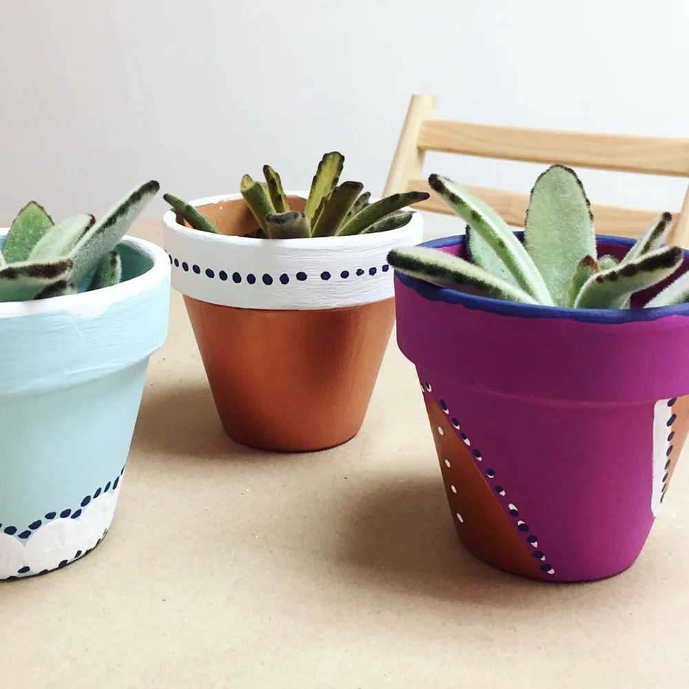 Painted Plant Pot Craft Event  Sunshine Craft Co