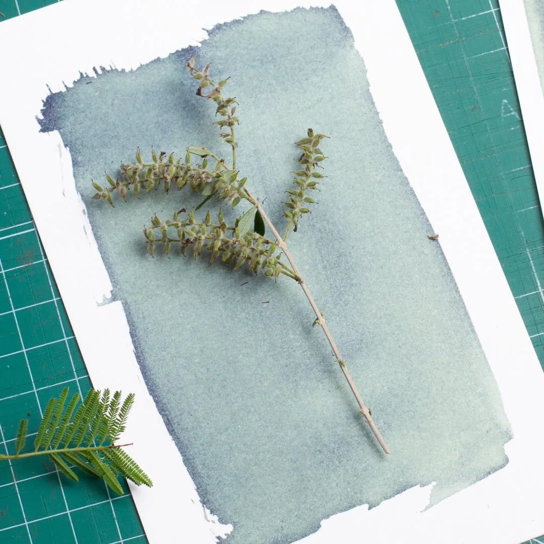 Cyanotype-Sun-Printing-2.jpg