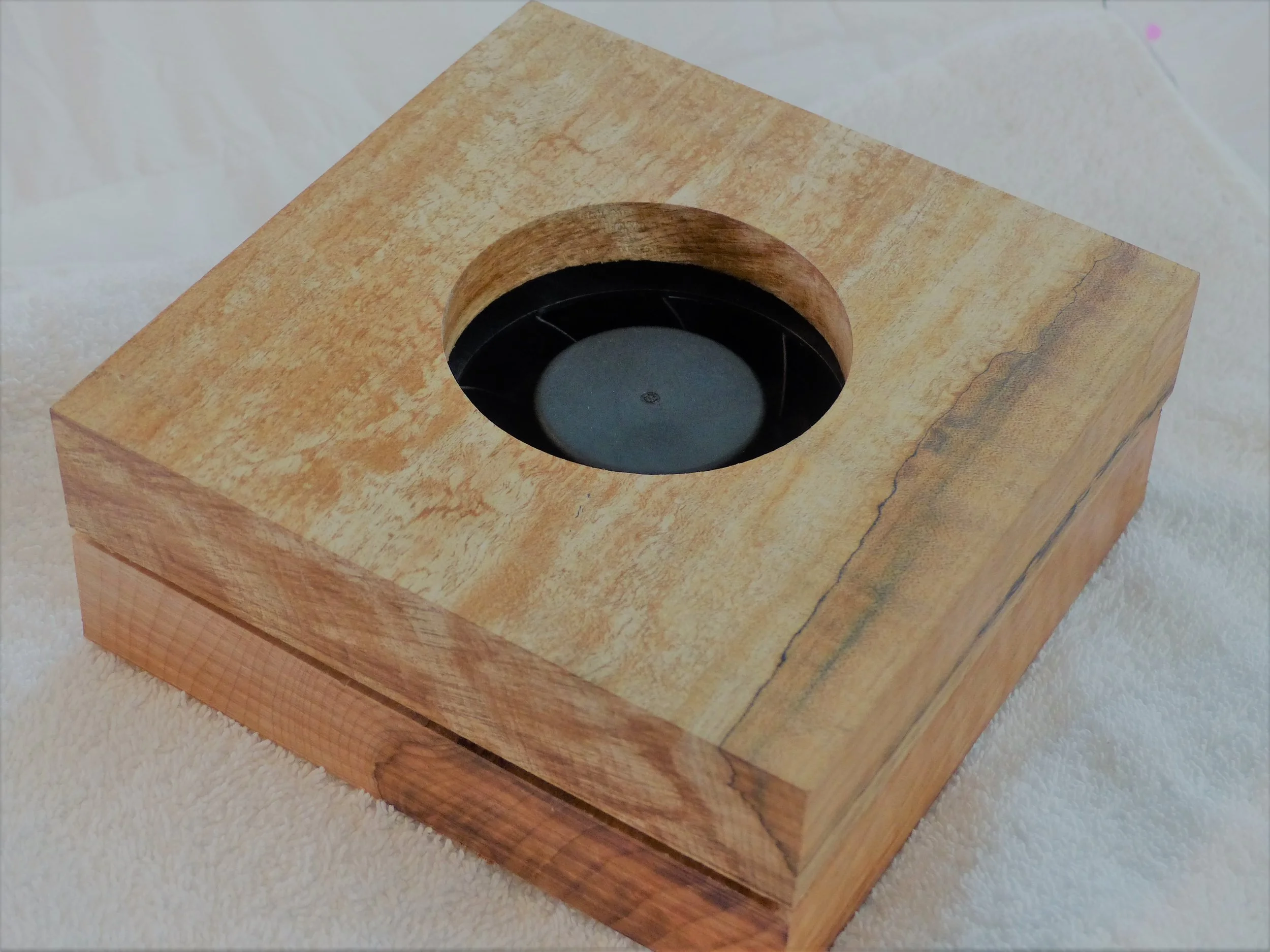 Woody box Sahara.JPG