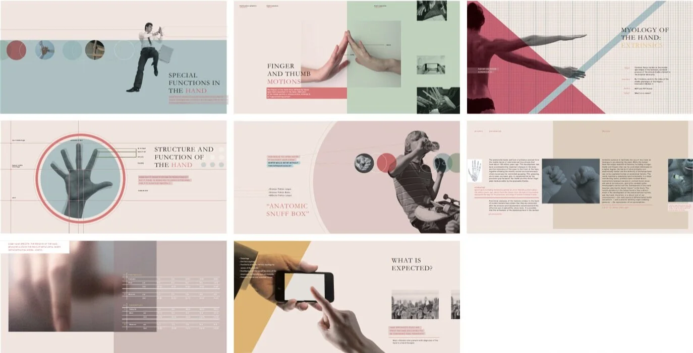 手——特殊的功能性研究