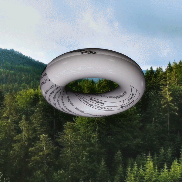   Buoyancracy #1 , 2021, BLOCKCHAIN NFT 