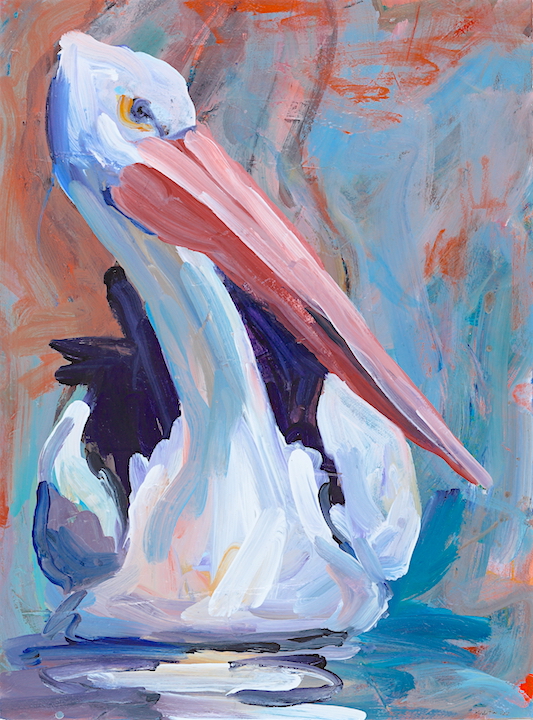 animal#pelican *.JPG